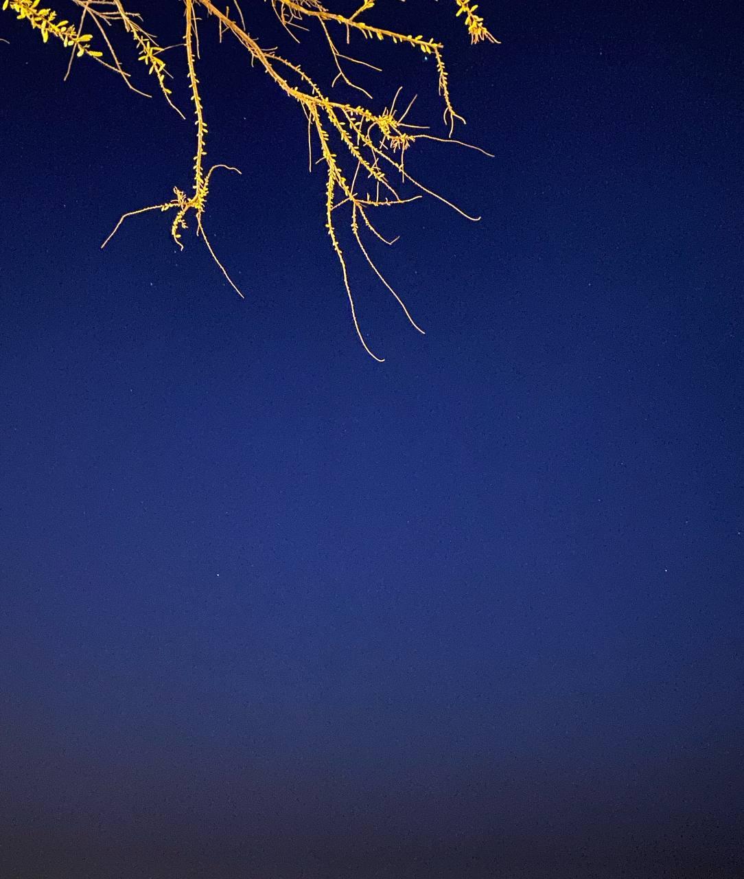 infuturesky